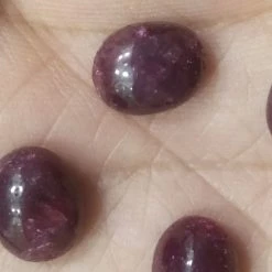 Vendora πωλειτε απο συλλεκτη ορυκτων πολυτιμων λιθων 6 Compouchon ρουμπινια σε διαφορα σχηματα ολα μαζι γυρω στα 30 Ct 11 Vendora πωλειτε απο συλλεκτη ορυκτων πολυτιμων λιθων 6 Compouchon ρουμπινια σε διαφορα σχηματα ολα μαζι γυρω στα 30 Ct -vendora shop c0396c6505cf2cdc20f3c8b604b61e735d1b8f13 xl