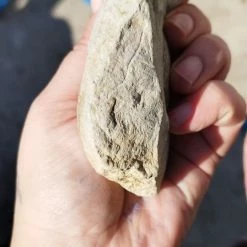 Vendora Απολίθωμα -vendora shop c03f0dc494a2c1eccea01cf63be25015a90b9ea2 xl