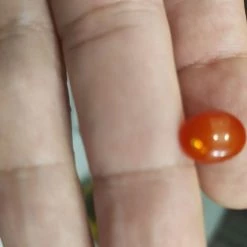 Vendora ΠΩΛΕΙΤΕ ΑΠΟ ΣΥΛΛΕΚΤΗ ΟΡΥΚΤΩΝ ΠΟΛΥΤΙΜΩΝ ΛΙΘΩΝ ΕΝΑ ΜΟΝΑΔΙΚΟ SPLENDID OVAL FIRE OPAL ΑΙΘΙΟΠΙΑΣ 2,16 CT -vendora shop c26a28ba905f5419b42bfa49a4190b99fc661d81 xl