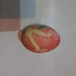 Vendora Πασχαλινο Αυγο 7ετιας -vendora shop c388f60fdd314eaf8da8a9e1239dc570cd233929 xl