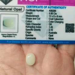 Vendora πωλείτε από συλλέκτη ορυκτών πολύτιμων λίθων πανέμορφο λευκό ορυκτό οπάλιο Αυστραλίας Campochon 5,95 Ct -vendora shop c4d164550d59b3db5168a09f9fcae69faa238db0 xl