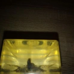 Vendora Μεγάλος Σκορπιός -vendora shop c67cde0ac82c0432bffbc23e3078eaabdf07b279 xl