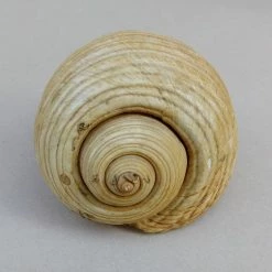 Vendora Θαλασσιο Σαλιγκαρι "Tonna Galea". -vendora shop c6d7cfc8228a629e5545bb927c7aac8e93fe70fc xl