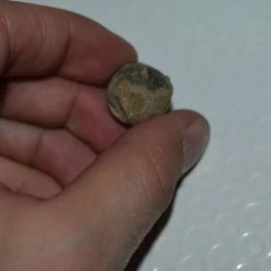 Vendora ΜΟΛΥΒΕΝΙΟ ΒΛΗΜΑ ΜΟΥΣΚΕΤΟΥ -vendora shop c7c95741ffbb70fc1e72242d07cb27f4723602d5 xl