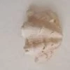 Vendora ΚΟΧΥΛΙΑ Marine Sea 15cm Giant Clam Tridacna Big Conch Natural Craft Ornaments Shell -vendora shop c858b989bd87c471abb6dd7007dcaf46cae1d015 xl