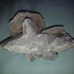 Vendora Ρόδο της Ερήμου #2