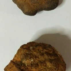 Vendora Σπάνιος μετεωρίτης Πίνδου