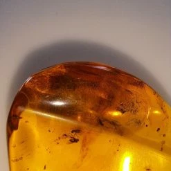 Vendora ΝΈΑ ΠΑΡΑΛΑΒΉ. ΛΙΘΟΣ ΑΠΟ ΚΕΧΡΙΜΠΆΡΙ ΒΑΛΤΙΚΗΣ, WITH INSECTS, ΚΑΤΑΛΛΗΛΟ ΓΙΑ ΜΕΝΤΑΓΙΌΝ. 10, 72 ΓΡΑΜΜΑΡΊΩΝ. -vendora shop d129aaf8628caec0258df3825cb083b318c42519 xl