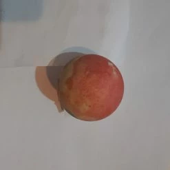 Vendora Πασχαλινο Αυγο 7ετιας -vendora shop d24701f37041154a8b5a758cdaf95e66e9443c81 xl