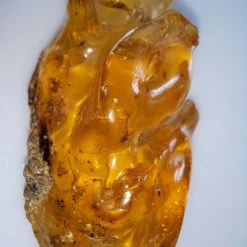 Vendora ΝΕΑ ΠΑΡΑΛΑΒΉ. ROCK WITH INSECTS, ΑΠΟ ΚΕΧΡΙΜΠΆΡΙ ΒΑΛΤΙΚΗΣ. ΕΚΑΤΟΜΜΥΡΙΩΝ ΕΤΩΝ. UV TESTED. 51,48 GR. -vendora shop d454e687c768635c705becdc0eb805e5c770dcb8 xl