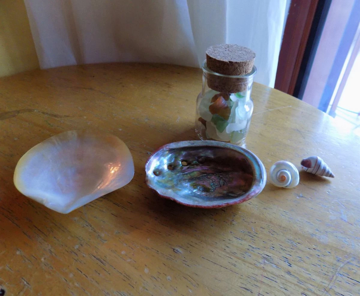 Vendora κοχυλια και διακοσμητικα θαλασσινα 3 Vendora κοχυλια και διακοσμητικα θαλασσινα