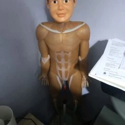 Vendora ανθρώπινο σώμα με όλα τα τεύχη -vendora shop d682eb98fb5e1653bd795053891fcbf90ec01b40 xl