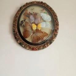 Vendora ΠΕΤΑΛΟΥΔΕΣ ΒΑΛΣΑΜΩΜΕΝΕΣ ΒΡΑΖΙΛΙΑ 1984 -vendora shop da31d9d4537316557afdc29c1d7a3c03f4c34825 xl