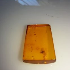 Vendora ΝΈΑ ΠΑΡΑΛΑΒΉ. ΤΕΤΡΆΓΩΝΟ ΕΠΕΞΕΡΓΑΣΜΕΝΟ ΚΟΜΜΆΤΙ, ΑΠΟ ΚΕΧΡΙΜΠΆΡΙ ΒΑΛΤΙΚΗΣ, WITH INSECTS, ΚΑΤΑΛΛΗΛΟ ΓΙΑ ΜΕΝΤΑΓΙΌΝ Η ΑΛΛΟ ΚΌΣΜΗΜΑ 0,74 ΓΡΑΜΜΑΡΊΩΝ. -vendora shop db28513685200a60293e8b920f855ce2dfe1e523 xl