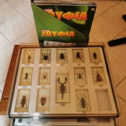 Vendora Συλλογή ΑΛΗΘΙΝΑ ΖΩΥΦΙΑ Τεύχη 1-14