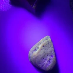 Vendora ΝΕΑ ΠΑΡΑΛΑΒΉ. ΑΚΑΤΈΡΓΑΣΤΟ ΚΕΧΡΙΜΠΆΡΙ ΒΑΡΟΥΣ 25,31 ΓΡΑΜΜΑΡΊΩΝ UV TASTED. -vendora shop dd578dd0bb93a388d879e1030d67c5c857d51b29 xl