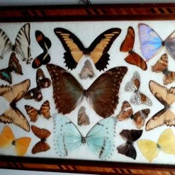 Vendora ΠΕΤΑΛΟΥΔΕΣ ΒΡΑΖΙΛΙΑΣ ΒΑΛΣΑΜΩΜΕΝΕΣ -vendora shop e16cae769688a28a062e9d9c525f53a8621000dc xl