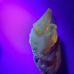 Vendora ΝΕΑ ΠΑΡΑΛΑΒΉ. ROCK WITH INSECTS, ΑΠΟ ΚΕΧΡΙΜΠΆΡΙ ΒΑΛΤΙΚΗΣ. ΕΚΑΤΟΜΜΥΡΙΩΝ ΕΤΩΝ. UV TESTED. 51,48 GR. -vendora shop e180269cf0bce08995826e113876ff28a1646c63 xl