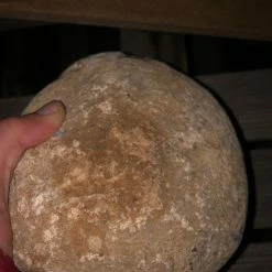 Vendora Πέτρωμα