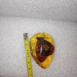 Vendora Πεταλουδα Σε Απομιμηση Κεχριμπαριου -vendora shop e2526d0575d38566e9bbaab83f39133e3c38a195 xl