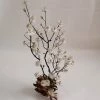 Vendora ΚΟΧΥΛΙΑ Handmade Creation Decor Of Natural Sea Shells Aprox 22cm -vendora shop e7760677729db9f6d352680cc673341fbbfeee8b xl