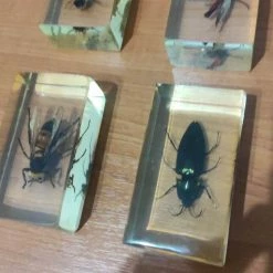 Vendora Εντωμα Συλλογη 8 Vendora Εντωμα Συλλογη -vendora shop ea7335237610e2787fd1f9ec2eaa77fb36f8f807 xl