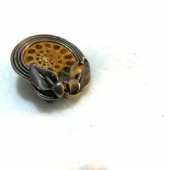 Vendora Απολιθωμένο σαλιγγάρι -vendora shop ec078141e30921068e7fce4073388cee9628f4de xl