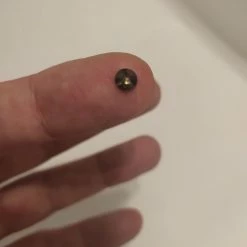 Vendora ΠΩΛΕΙΤΕ ΑΠΟ ΣΥΛΛΕΚΤΗ ΠΟΛΥΤΙΜΩΝ ΟΡΥΚΤΩΝ ΛΙΘΩΝ ΔΙΑΜΑΝΤΙ ΜΠΡΙΓΙΑΝ, ΟΡΥΚΤΟ, ΧΡΩΜΑ CHAMPAGNE, 0,51 CT ΚΑΘΑΡΟΤΗΤΑΣ Ι3 ΜΕ ΤΟ ΠΙΣΤΟΠΟΙΗΤΙΚΟ ΤΟΥ. -vendora shop ef0836a19d537c2381c6b507c2ad97ef49222f2c xl