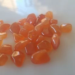 Vendora ΝΕΑ ΠΑΡΑΛΑΒΉ. CARNELIAN ΚΟΚΚΙΝΟΣ, ΔΙΑΦΟΡΩΝ ΜΕΓΕΘΏΝ, 31,69 ΓΡΑΜΜΑΡΊΩΝ. 11 Vendora ΝΕΑ ΠΑΡΑΛΑΒΉ. CARNELIAN ΚΟΚΚΙΝΟΣ, ΔΙΑΦΟΡΩΝ ΜΕΓΕΘΏΝ, 31,69 ΓΡΑΜΜΑΡΊΩΝ. -vendora shop f0c88e9f2956cf1fd9d34ade2ac7b8fa1111981d xl