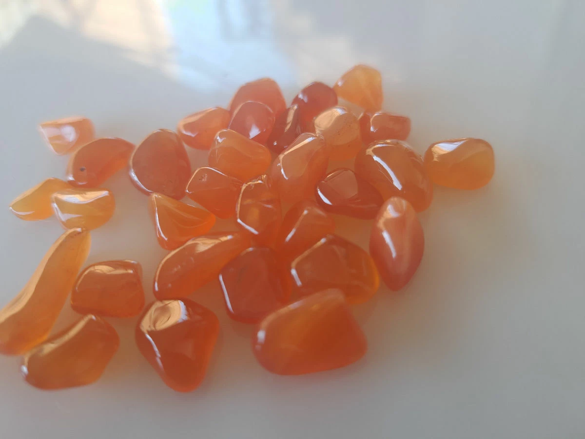 Vendora ΝΕΑ ΠΑΡΑΛΑΒΉ. CARNELIAN ΚΟΚΚΙΝΟΣ, ΔΙΑΦΟΡΩΝ ΜΕΓΕΘΏΝ, 31,69 ΓΡΑΜΜΑΡΊΩΝ. 6 Vendora ΝΕΑ ΠΑΡΑΛΑΒΉ. CARNELIAN ΚΟΚΚΙΝΟΣ, ΔΙΑΦΟΡΩΝ ΜΕΓΕΘΏΝ, 31,69 ΓΡΑΜΜΑΡΊΩΝ. - Image 4