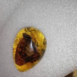 Vendora Πεταλουδα Σε Απομιμηση Κεχριμπαριου -vendora shop f31199f9af4b569dfc9dda496dab268edf49db1c xl