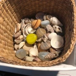 Vendora κοχύλια και γυαλόπετρες