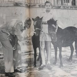 Vendora Εικονες 1964 Η Κηδεια Του Βασιλεως Παυλου 23 Vendora Εικονες 1964 Η Κηδεια Του Βασιλεως Παυλου -vendora shop f4cffd2a23a8977fa3b736fb8df206f2487f48c9 xl