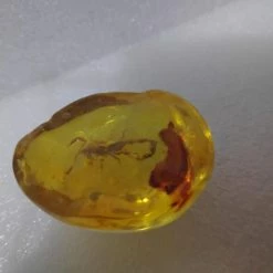 Vendora Σκορπιος Μεσα σε Απομιμηση Κεχριμπαριου -vendora shop f6494baaeedceb4a7dfb8c03018f86c0616a2611 xl