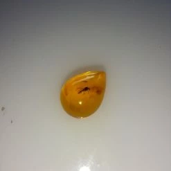 Vendora ΝΈΑ ΠΑΡΑΛΑΒΉ. ΣΤΑΓΟΝΑ ΑΠΟ ΚΕΧΡΙΜΠΆΡΙ ΒΑΛΤΙΚΗΣ, WITH INSECTS, ΚΑΤΑΛΛΗΛΟ ΓΙΑ ΜΕΝΤΑΓΙΌΝ Η ΑΛΛΟ ΚΌΣΜΗΜΑ 0,23 ΓΡΑΜΜΑΡΊΩΝ. -vendora shop f6c2eccfeacbc1cfc45014cb36c68e87fef39571 xl