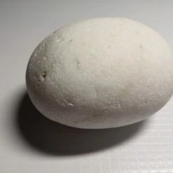 Vendora Πέτρωμα "αυγό" λευκό