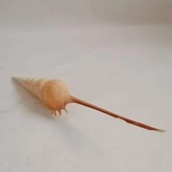 Vendora ΚΟΧΥΛΙΑ LARGE Natural Conch Shells Long Snails Dafa -vendora shop f781ddd9b8a3f15f80ebfb5958a3712e13d90d92 xl