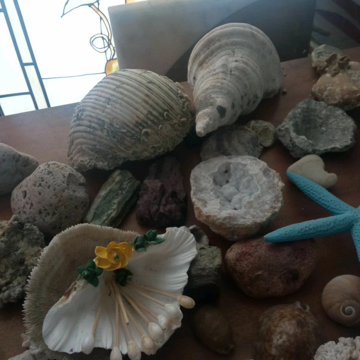 Vendora ΚΟΧΥΛΙΑ ΟΣΤΡΑΚΑ. ΠΕΤΡΩΜΑΤΑ η τιμή είναι για ολα 8 Vendora ΚΟΧΥΛΙΑ ΟΣΤΡΑΚΑ. ΠΕΤΡΩΜΑΤΑ η τιμή είναι για ολα - Image 6