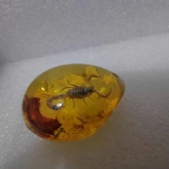 Vendora Σκορπιος Μεσα σε Απομιμηση Κεχριμπαριου